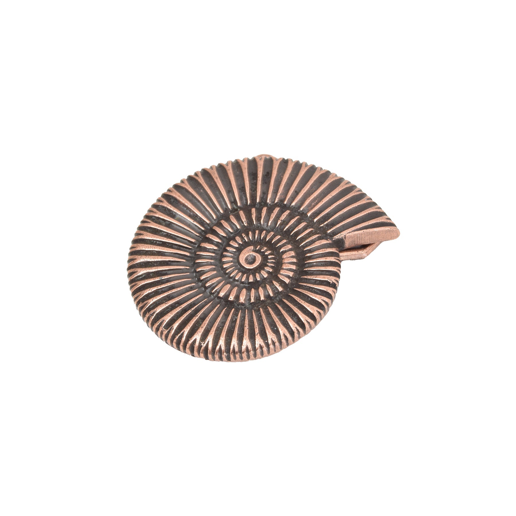 Bronze Toned Removable Metal Belt Buckle Snail