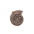 Bronze Toned Removable Metal Belt Buckle Snail