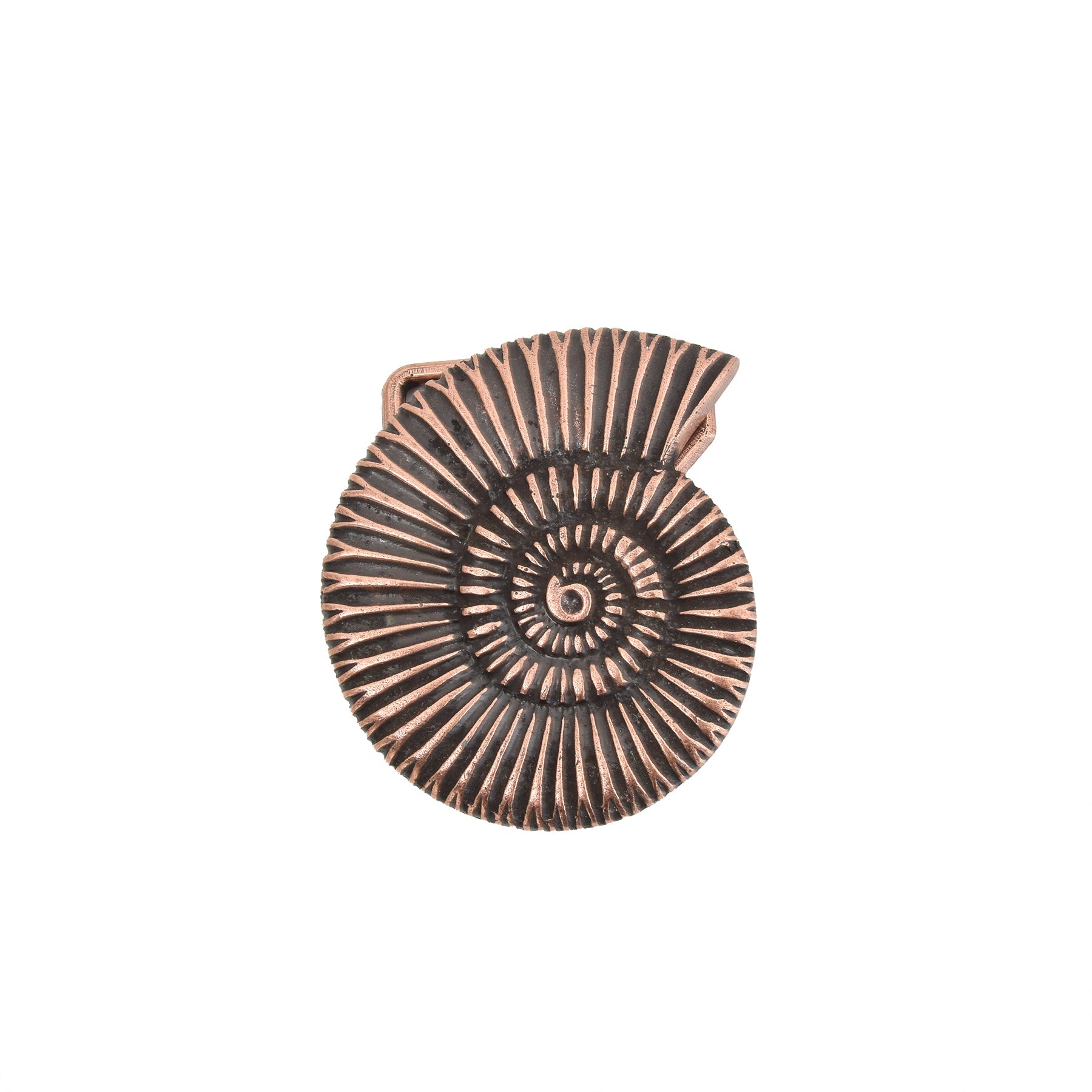 Bronze Toned Removable Metal Belt Buckle Snail