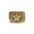 Gold Toned Removable Metal Belt Buckle Army Star