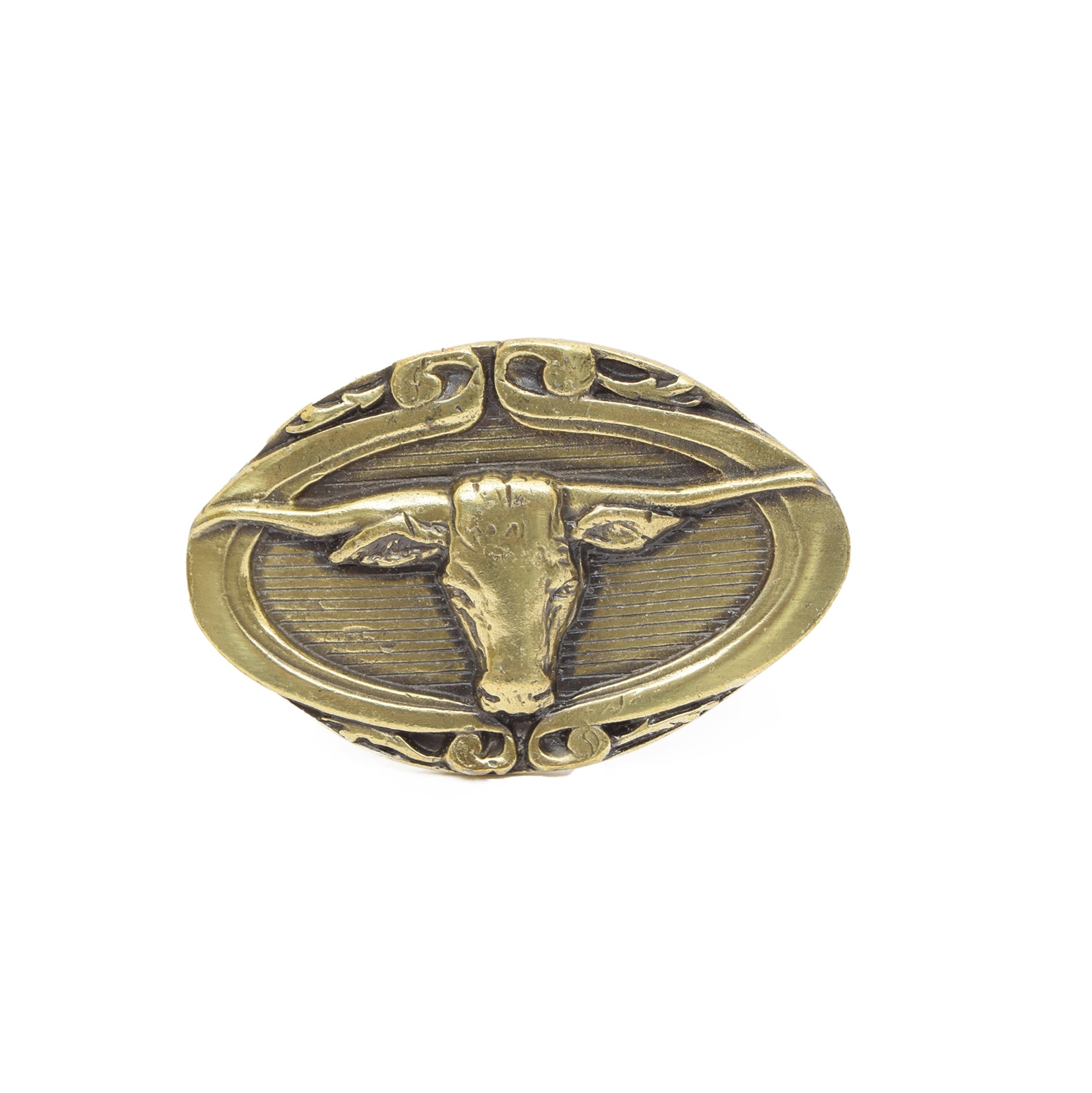 Gold Toned Removable Metal Belt Buckle Desert Cowboy