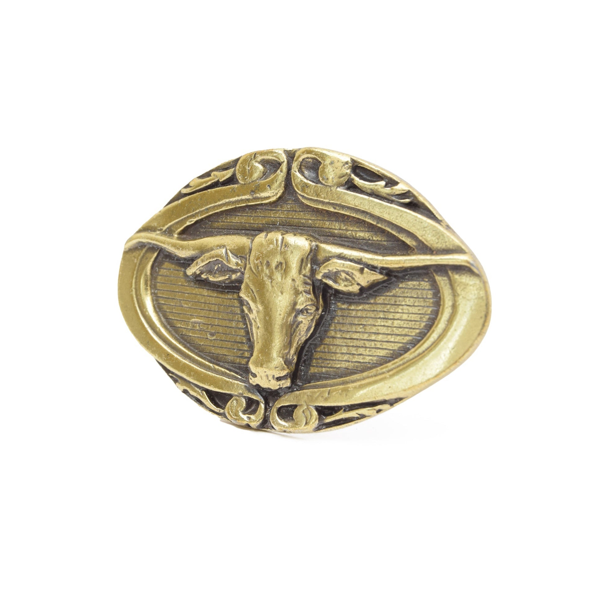 Gold Toned Removable Metal Belt Buckle Desert Cowboy