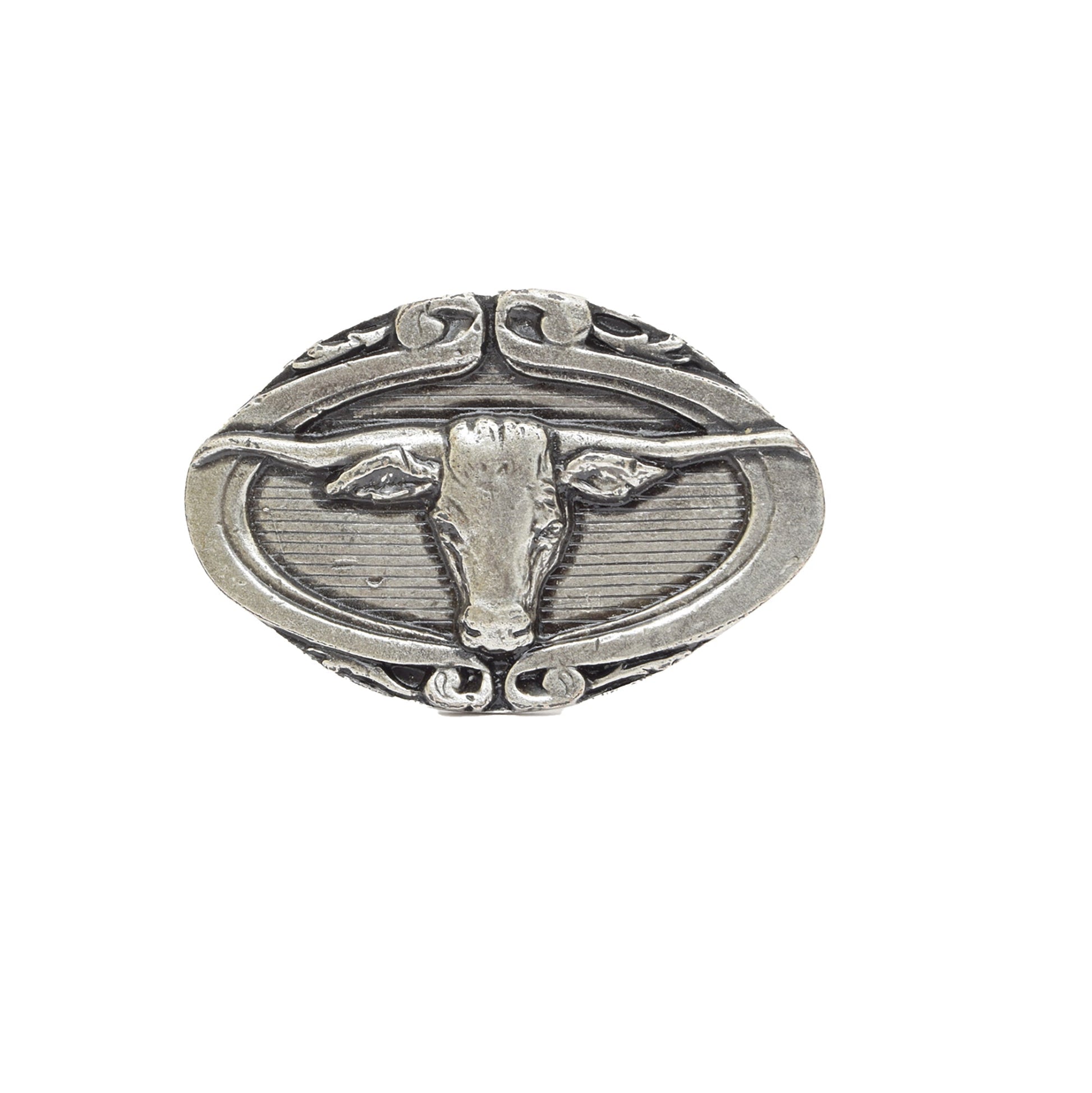 Silver Toned Removable Metal Belt Buckle Desert Cowboy